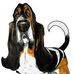 Steven Kirin - Facebook