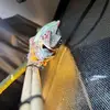 Steven Kish895 - @stevenkish895 - TikTok