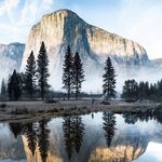 Steven Kish - @stevenkish.brk - Instagram