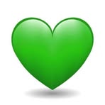 Steven Knoll - Facebook