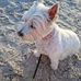 Stephen Knopf - Facebook