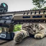 Steve Knutson - @steven.knutson - Instagram