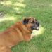 Steven Kollar - Facebook