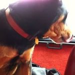 steven kollar - @steven.kollar - Instagram