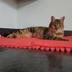 Steven Koontz - @aeroliftsk - Instagram