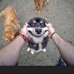 Steve Kosiba - @stevekosiba - Instagram