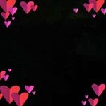 Steven Kowal - @steven.kowal - Instagram