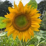 Steve Koziol - @earthsciencekoziol - Instagram