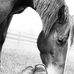 Stephen Kratzer - Facebook