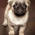 Steven Kratzer - @kratzer.steven - Instagram