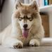 Steven Krize - Facebook