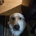 Steve Krukowski - @stevek1530 - Instagram