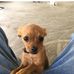 Steven Kulp - Facebook