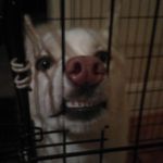 Steven Kulp - @stevenkulp00 - Instagram