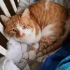 Steven Kumpf - @stevenkumpf0 - TikTok
