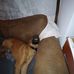 Steven Kumpf - Facebook