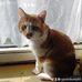 Steven Kumpf - Facebook