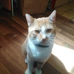 Steven Kumpf - @steven.kumpf.3 - Instagram
