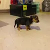 Steven Kumpf - @stevenkumpf - TikTok