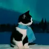 Steven Kyle - @steven.kyle43 - TikTok