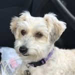 Steven Laber - @memesdreaming - Instagram