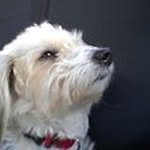 Steven Laber - @steven_spams - Instagram