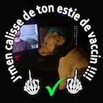 Steven Labrecque - @steven_labrecque - Instagram