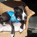 Steven Ladner - Facebook
