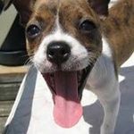 Steven LaFollette - @stevenjnok - Instagram