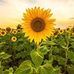 Steve Lakey - Facebook