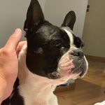 Steven Lakey - @steven_lakey_ - Instagram