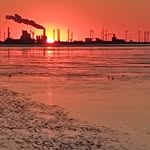 Steven Lambrechts - @lambrechts.steven - Instagram