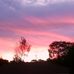 Steve Lambright - Facebook