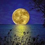 Steven Lambright - @lambrightsteven - Instagram