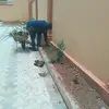 stevenkusienya - @stevenlandscaper - TikTok