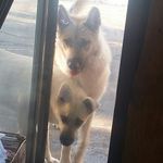 Steven Langford - @steven.langford2 - Instagram