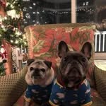Steven Langhorst - @swlanghorst - Instagram