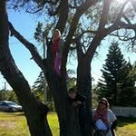 Steven Langley - @steven.langley.56 - Instagram