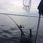 Steven Large - @steven.large.5494 - Instagram