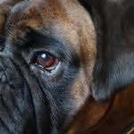 Steven Lashbrook - @steven.lashbrook - Instagram