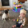 Steven Last - @steveandollie - TikTok