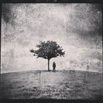 Steven Laster - @plywoodno - Instagram