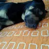 chatarexxxx - @stevenlatorre1 - TikTok