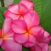 Steven Laurence - Facebook
