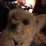 Steven Laws - @steven.laws.940 - Instagram