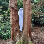 Steven Lea - @steven_lea - Instagram