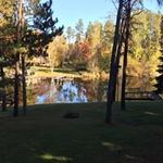 Steven Lease - @sflease - Instagram
