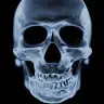 Steven Leeson - @stevenleeson - TikTok