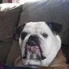 Stephen Lefever - @stephen.lefever - TikTok