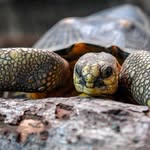 @steven_lehman - Instagram